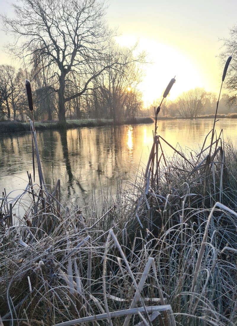 A moment of stillness beside the lake