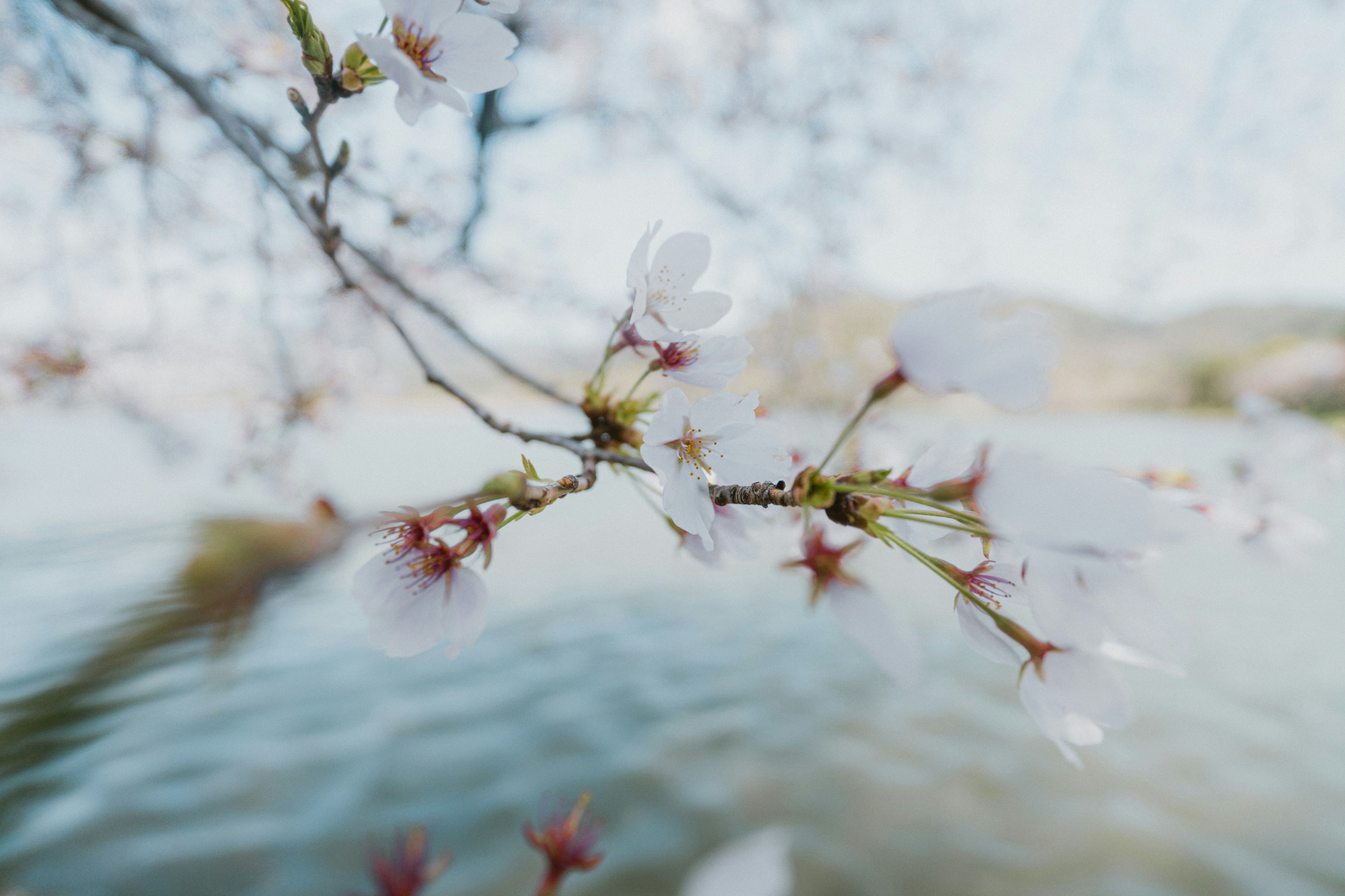 Spring gathering at Feel the Shift