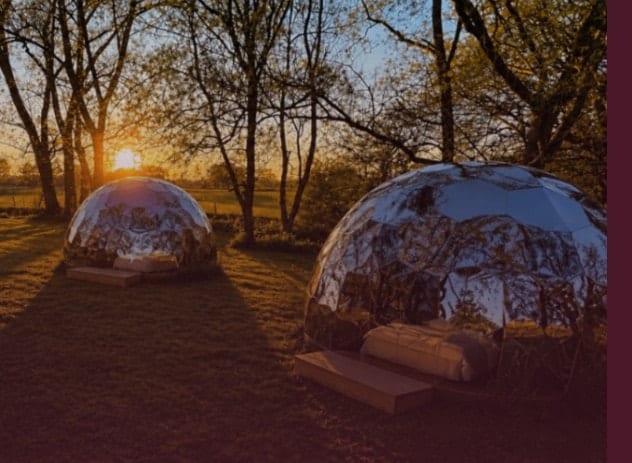 Mirror domes nestled among trees with lake views