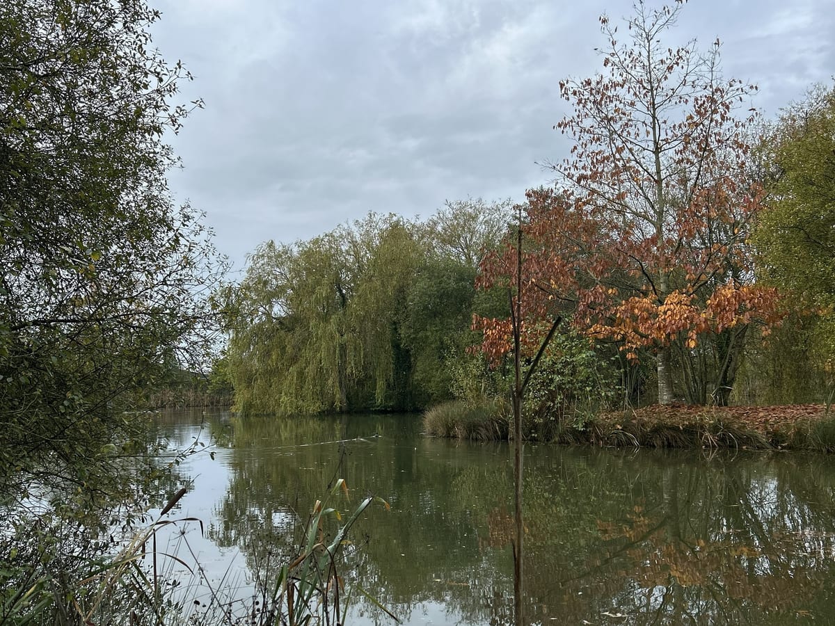 Autumn Weekend Retreat at The Shift Retreats
