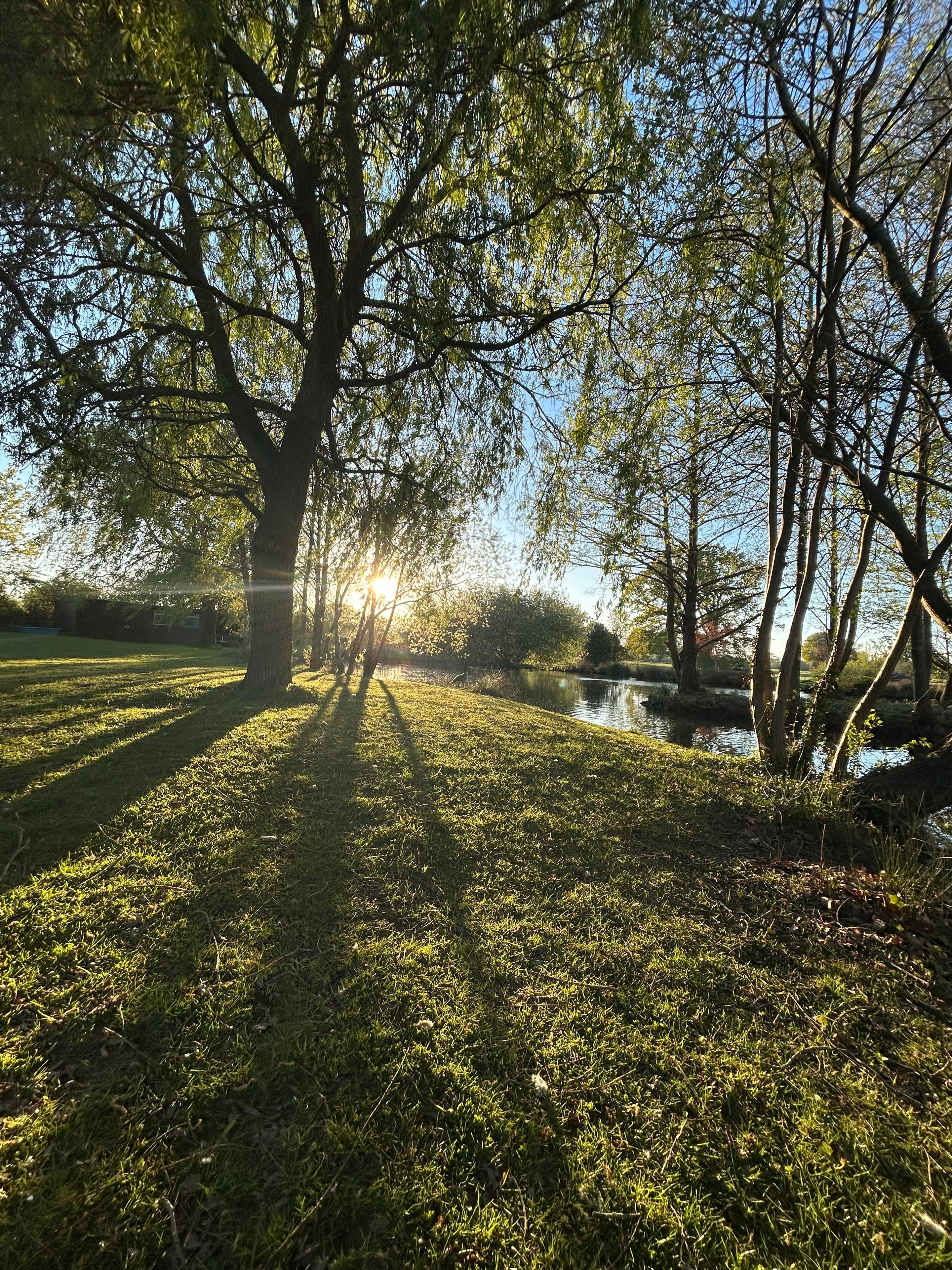 Earth & Stillness