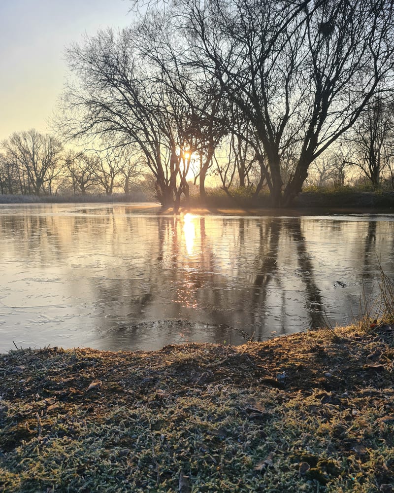 Winter firelight and stillness