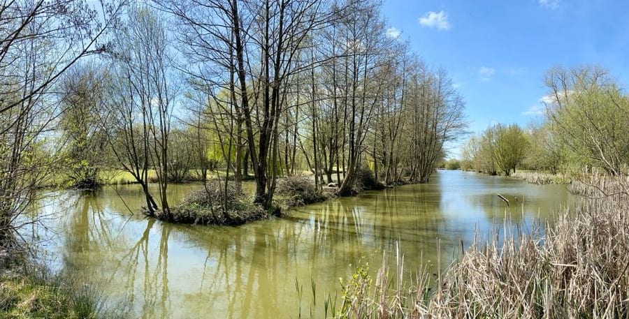 The lakes at The Shift Retreats — spring reflections and open water
