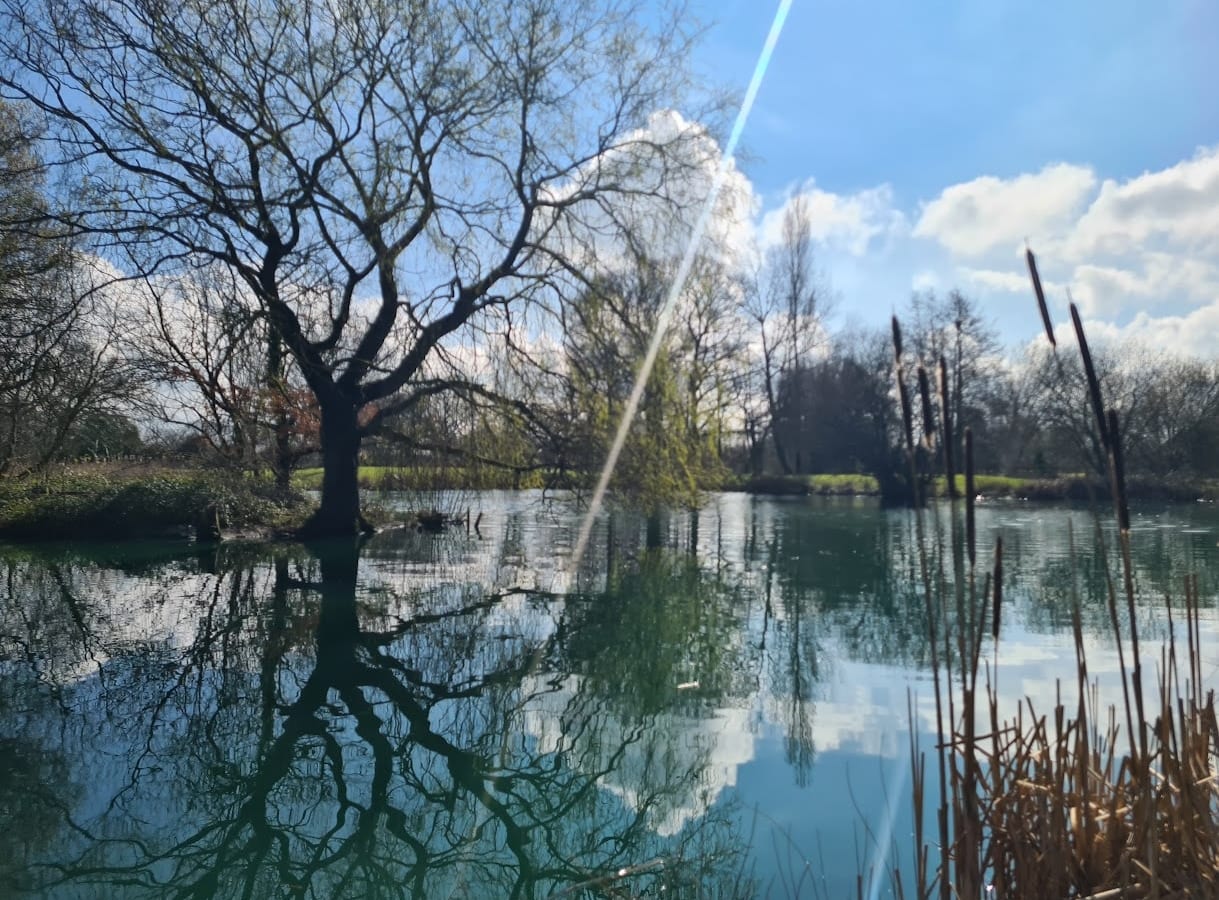 Lakeside view at The Shift Retreats — a place to return to